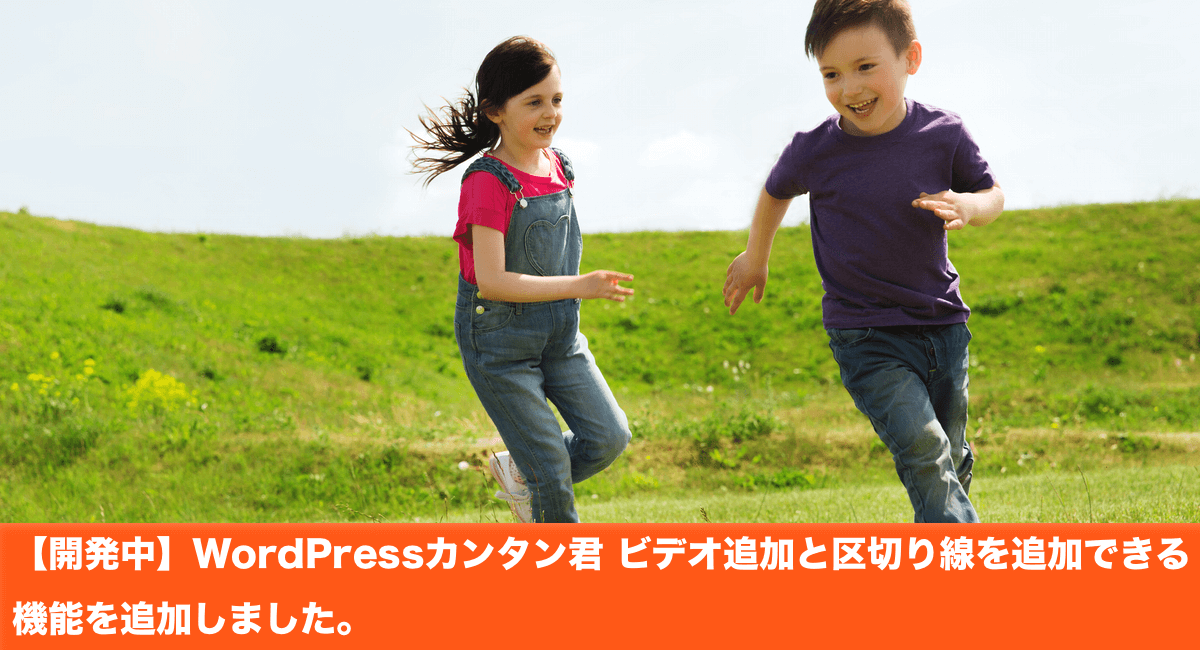 【開発中】WordPressカンタン君 ビデオ追加と区切り線を追加できる機能を追加しました